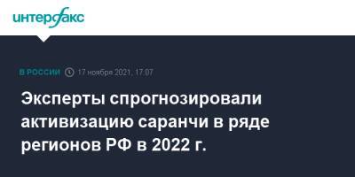 Эксперты спрогнозировали активизацию саранчи в ряде регионов РФ в 2022 г.