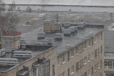 Мокрый снег обещают псковские синоптики 18 ноября