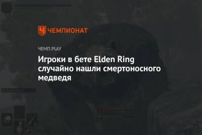 Игроки в бете Elden Ring случайно нашли смертоносного медведя