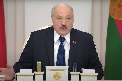 Лукашенко и Меркель договорились о механизме разрешения миграционного кризиса
