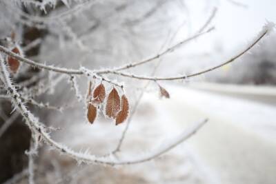 В Астраханской области похолодает до -10 градусов и ожидается изморозь