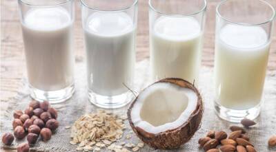 Что такое растительное молоко и чем оно полезно
