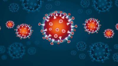 Коронавирус может повлиять на потенцию и способность мужчин завести детей