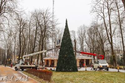 Одну из первых новогодних елок устанавливают в Смоленске