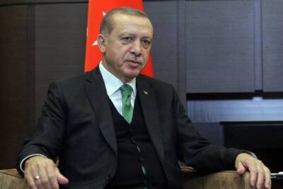 Эрдогану подарили карту тюркского мира с регионами России