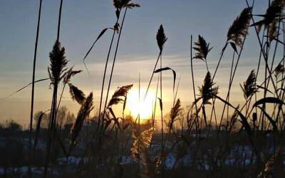 Зима все ближе: 18 ноября часть Украины накроет мокрым снегом – прогноз Диденко