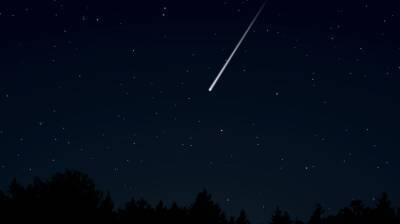 Метеоритный поток озарит небо над Петербургом в ночь на 18 ноября