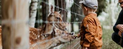 Самарский зоопарк готовится к переезду