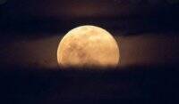 Самое долгое за 580 лет лунное затмение произойдет 19 ноября: кто его увидит