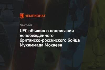 UFC объявил о подписании непобеждённого британско-российского бойца Мухаммада Мокаева