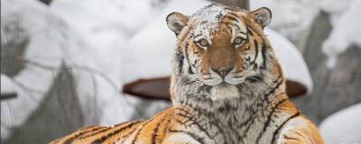 Новосибирский зоопарк имени Р.А. Шило получил лицензию на работу с животными