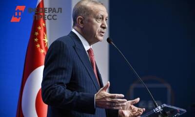 Эрдогану подарили карту «тюркского мира» с регионами России