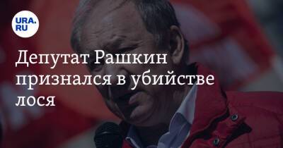 Депутат Рашкин признался в убийстве лося