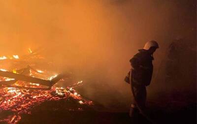В Одесской области произошел крупный пожар на базе отдыха - korrespondent.net - Украина - Одесская обл. - Южный