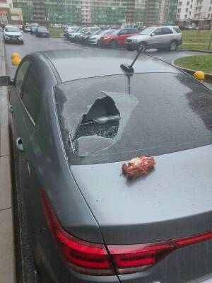 Кусок мяса упал на автомобиль в Мурино