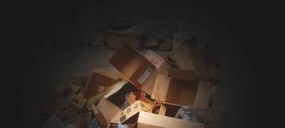 Житель Петрозаводска под покровом ночи украл картон