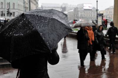 В четверг в Петербурге ожидаются дождь и мокрый снег