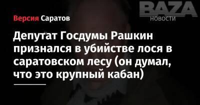 Депутат Госдумы Рашкин признался в убийстве лося в саратовском лесу (он думал, что это крупный кабан)