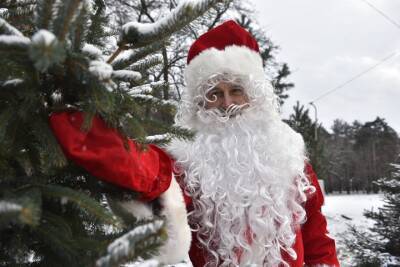 Почта Деда Мороза появилась в 39 парках Москвы