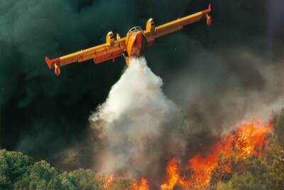 В бюджет Мурманской области на следующий год заложены средства на покупку воздушных судов для тушения лесных пожаров