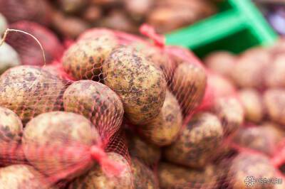 Минсельхоз предупредил россиян о дефиците картофеля