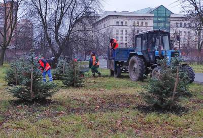 Молодые деревья и кустарники в парке Авиаторов утеплили в преддверии холодов