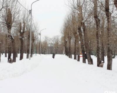 Мэрия Новосибирска приглашает горожан обсудить дизайн-проект сквера Калинина