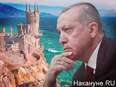 Эрдогану подарили карту "Тюркского мира", включающую в себя юг России