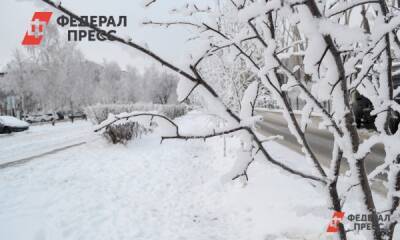 За ночь в Барнауле выпала треть месячной нормы снега