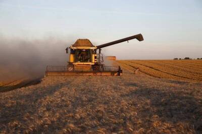 РФ выиграла крупный тендер на поставку пшеницы в Алжир