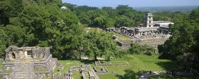 Лидары и дроны помогли обнаружить спрятанные в джунглях поселения древних майя