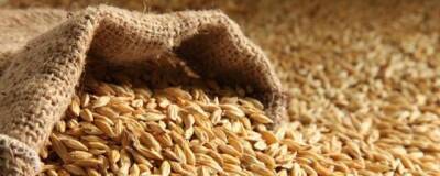 Новгородской области выделено почти 5 млн рублей на поддержку производителей зерна