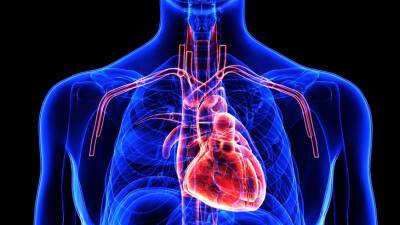 Ученые: Дефицит витамина D опасен для сердца