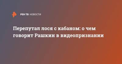 Валерий Рашкин - Перепутал лося с кабаном: о чем говорит Рашкин в видеопризнании - ren.tv - Россия
