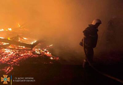 В Одесской области сгорели домики на базе отдыха "Южная волна"