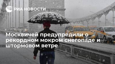 Синоптик "Фобоса" Тишковец: ныряющий циклон принесет в Москву рекордный мокрый снегопад