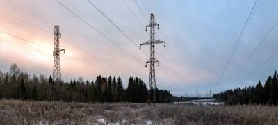 «Россети Северо-Запад» в 2021 году отремонтировали в Карелии 162 километра линий электропередачи