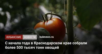 С начала года в Краснодарском крае собрали более 500 тысяч тонн овощей