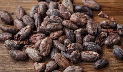В Колумбии в пачках какао нашли тонну кокаина