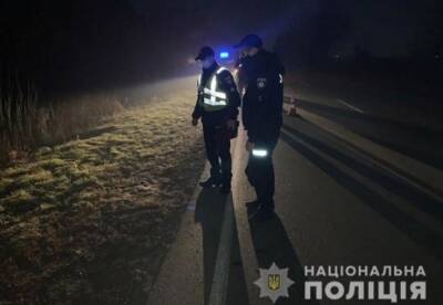 В Черниговской области по пути из детсада погибла четырехлетняя девочка