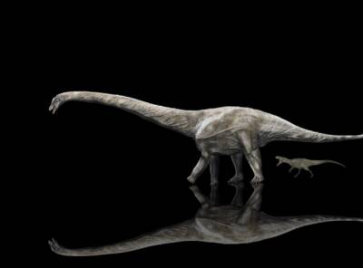 «Размером с 13-этажный дом»: ученые рассказали о самом длинном динозавре