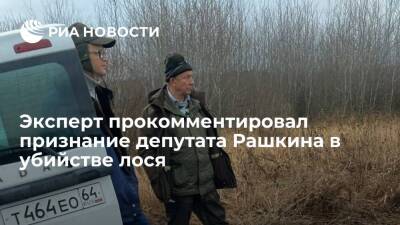 Адвокат Михайлов: признание депутата Рашкина в убийстве лося может смягчить ему наказание