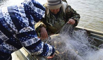 В Хабаровском крае коренным народам, оставшимся в путину без рыбы, раздадут лососей