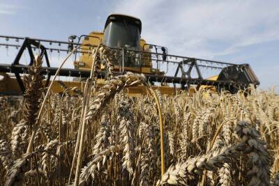 Дмитрий Рылько - Урожай зерна в РФ в 22г ожидается на уровне 123-126 млн т, пшеницы - 75-84 млн т -- аналитики - smartmoney.one - Москва - Россия - Reuters