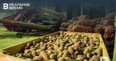 В России выросли оптовые цены на картофель на 70%