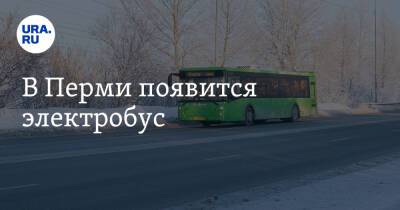 В Перми появится электробус