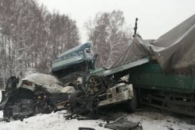 В Новосибирской области в ДТП с тремя грузовиками погиб один водитель