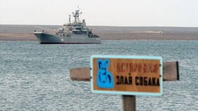 «Памперсов на всех не хватит», или Что стоит за продажей Украине британских кораблей