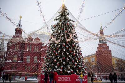 Главную новогоднюю елку страны планируется срубить 14 декабря