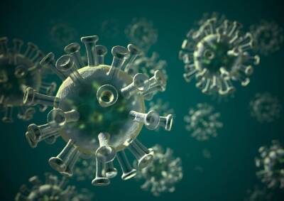 Доктор Мясников развенчал распространенные мифы о коронавирусе